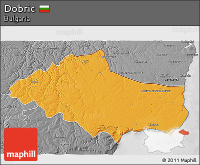 Political 3D Map of Dobric, desaturated