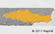 Political Panoramic Map of Dobric, desaturated