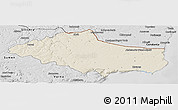 Shaded Relief Panoramic Map of Dobric, desaturated