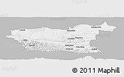 Gray Panoramic Map of Lovec, single color outside