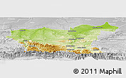 Physical Panoramic Map of Lovec, lighten, desaturated