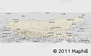 Shaded Relief Panoramic Map of Lovec, desaturated