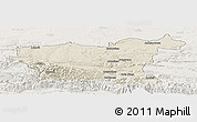 Shaded Relief Panoramic Map of Lovec, lighten