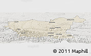 Shaded Relief Panoramic Map of Lovec, lighten, semi-desaturated