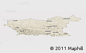 Shaded Relief Panoramic Map of Lovec, single color outside