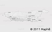 Silver Style Panoramic Map of Lovec, single color outside