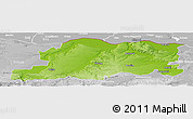 Physical Panoramic Map of Pleven, lighten, desaturated