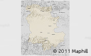 Shaded Relief 3D Map of Plovdiv, desaturated