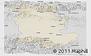 Shaded Relief Panoramic Map of Plovdiv, desaturated