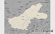 Shaded Relief 3D Map of Ruse, darken, desaturated