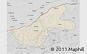 Shaded Relief 3D Map of Ruse, desaturated
