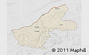 Shaded Relief 3D Map of Ruse, lighten, desaturated