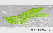 Physical Panoramic Map of Ruse, lighten, desaturated