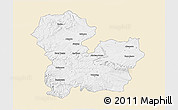 Classic Style 3D Map of Targoviste, single color outside