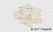 Shaded Relief Panoramic Map of Bam, cropped outside