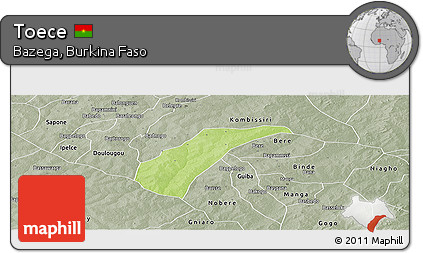 Physical Panoramic Map of Toece, semi-desaturated
