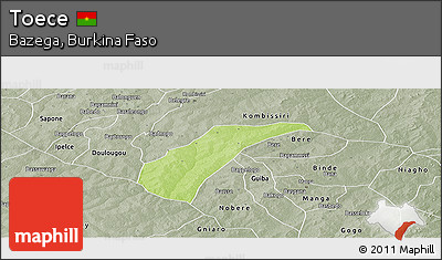 Physical Panoramic Map of Toece, semi-desaturated