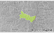 Physical 3D Map of Zambo, desaturated