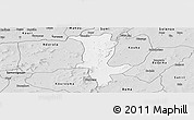 Silver Style Panoramic Map of Fo