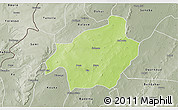 Physical 3D Map of Solenzo, semi-desaturated