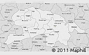 Silver Style 3D Map of Oubritenga