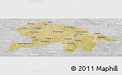 Satellite Panoramic Map of Oubritenga, lighten, desaturated