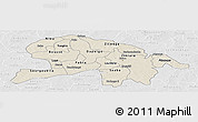 Shaded Relief Panoramic Map of Oubritenga, lighten, desaturated