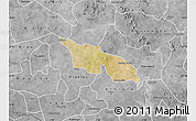 Satellite Map of Zitenga, desaturated