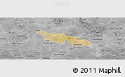 Satellite Panoramic Map of Zitenga, desaturated