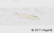 Shaded Relief Panoramic Map of Zitenga, lighten, desaturated