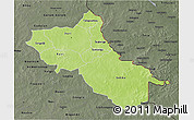 Physical 3D Map of Seno, darken, semi-desaturated