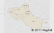 Shaded Relief 3D Map of Seno, lighten, desaturated