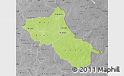 Physical Map of Seno, desaturated