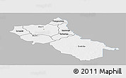Gray Panoramic Map of Seno, single color outside