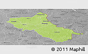 Physical Panoramic Map of Seno, desaturated