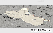 Shaded Relief Panoramic Map of Seno, darken, semi-desaturated