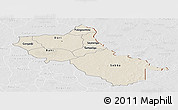 Shaded Relief Panoramic Map of Seno, lighten, desaturated