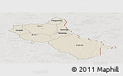 Shaded Relief Panoramic Map of Seno, lighten, semi-desaturated