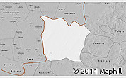 Gray 3D Map of Toeni