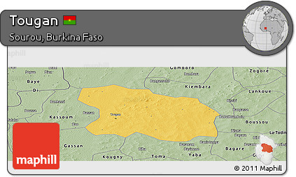 Savanna Style Panoramic Map of Tougan