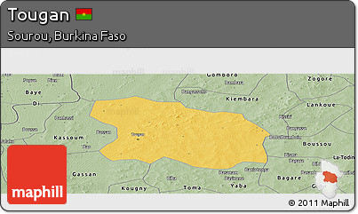 Savanna Style Panoramic Map of Tougan