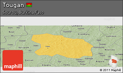 Savanna Style Panoramic Map of Tougan