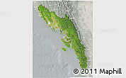 Satellite 3D Map of Arakan (Rakhine), lighten, semi-desaturated