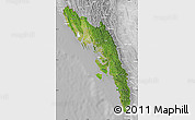 Satellite Map of Arakan (Rakhine), lighten, desaturated