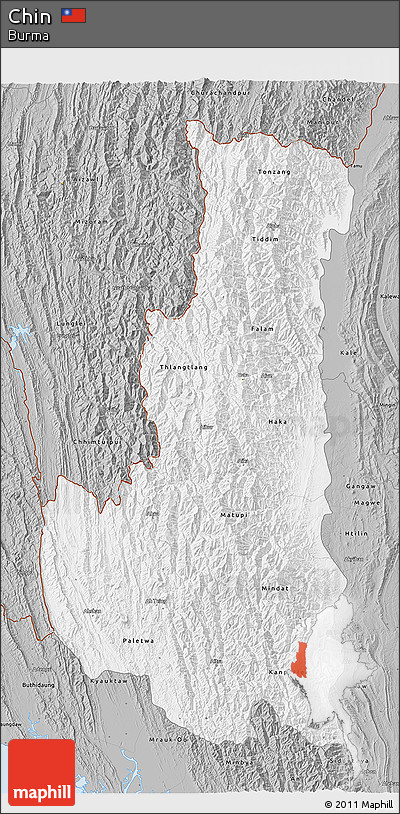 Gray 3D Map of Chin
