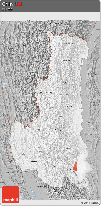 Gray 3D Map of Chin