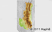 Physical 3D Map of Chin, lighten, desaturated