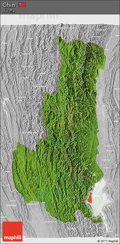 Satellite 3D Map of Chin, lighten, desaturated