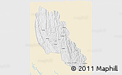 Classic Style 3D Map of Paletwa, single color outside