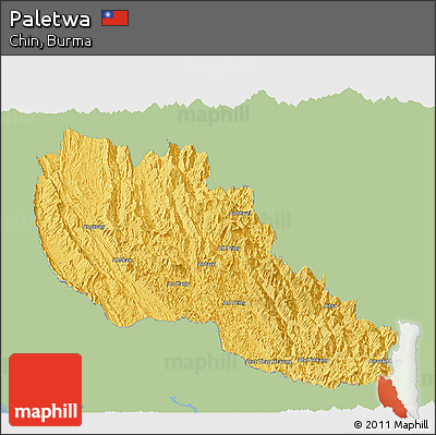 Savanna Style Panoramic Map of Paletwa, single color outside